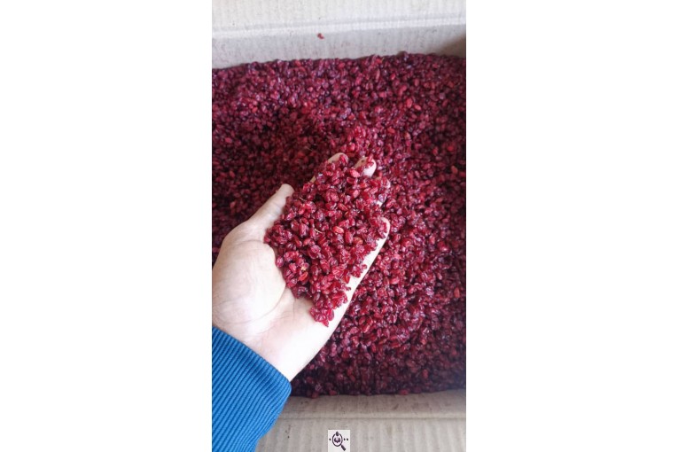 بازرگانی عطاری خشکباری گراوند در کرج