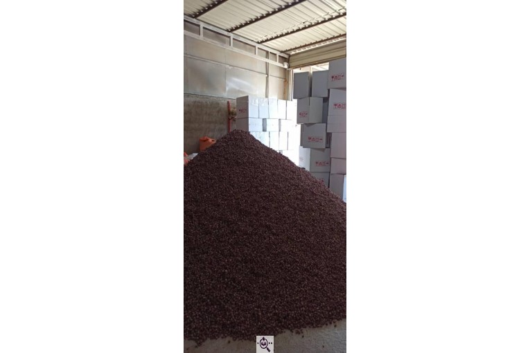 بازرگانی عطاری خشکباری گراوند در کرج