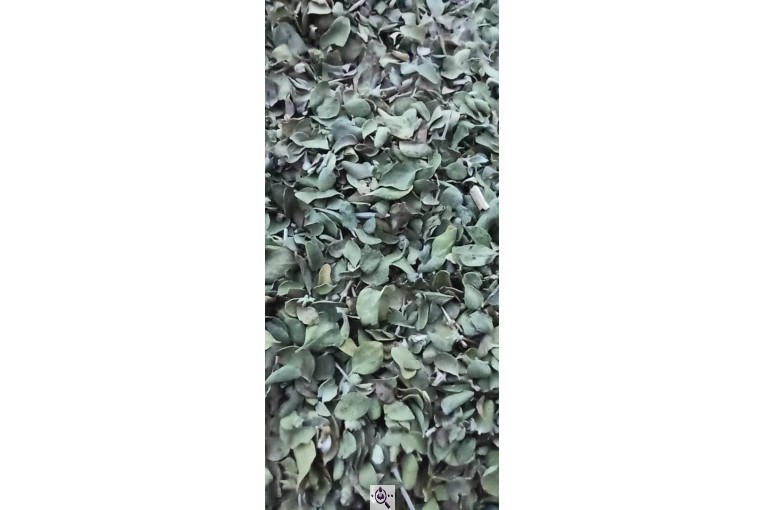 بازرگانی عطاری خشکباری گراوند در کرج