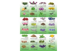 کارگاه فرآوری بادام زمینی مغان سبزدر دشت مغان