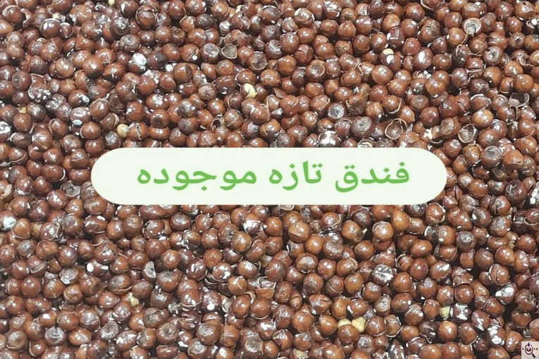 کارگاه خشکبار آجیل پزی محمودی در قائنات شهر اسفدن