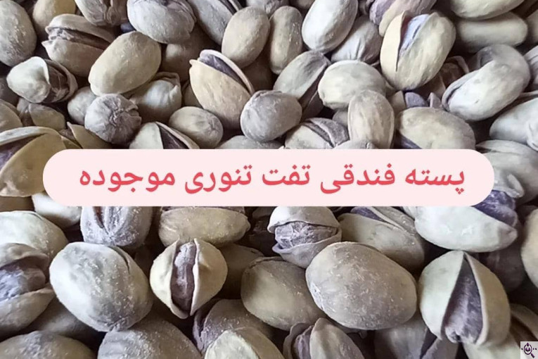کارگاه خشکبار آجیل پزی محمودی در قائنات شهر اسفدن