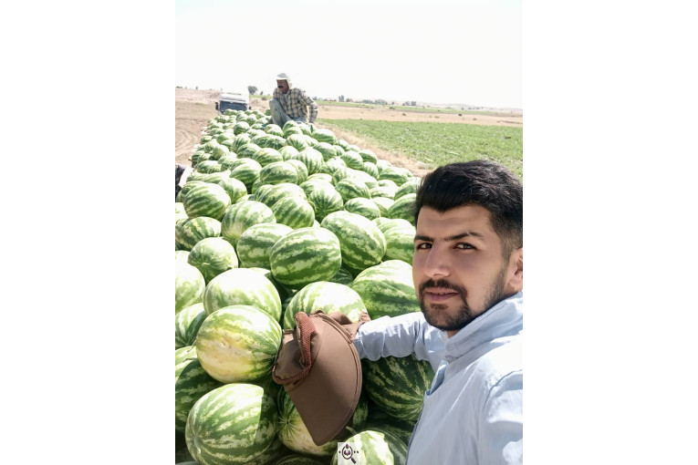 میوه و تره بار مصطفی بهادری در کازرون