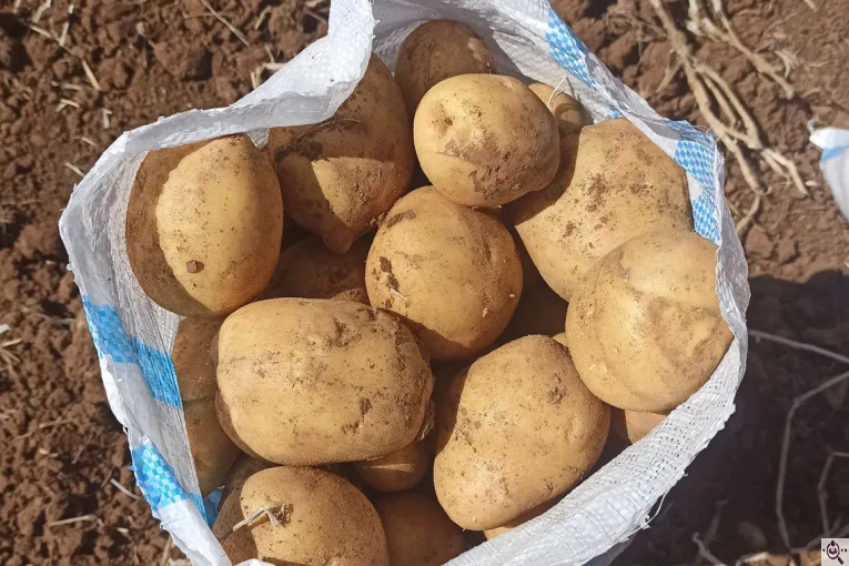 میوه و تره بار مصطفی بهادری در کازرون