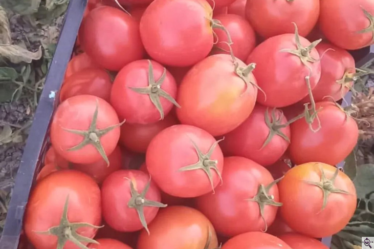 میوه و تره بار مصطفی بهادری در کازرون