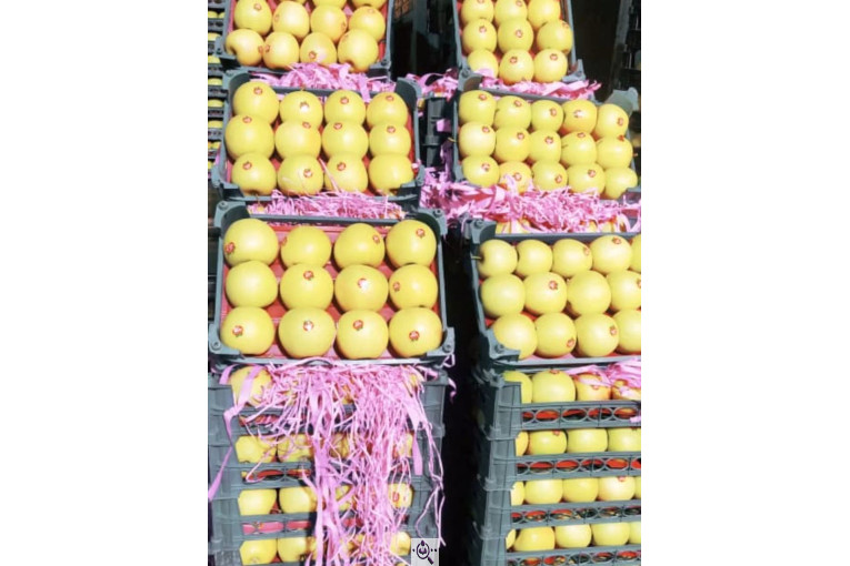 میوه و تره بار مصطفی بهادری در کازرون