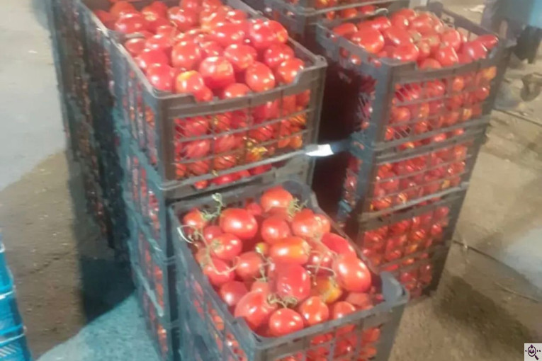 میوه و تره بار مصطفی بهادری در کازرون