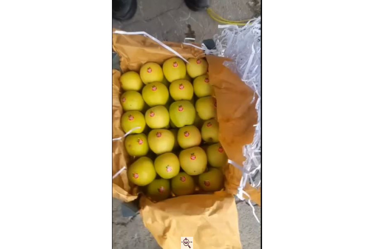 میوه و تره بار مصطفی بهادری در کازرون