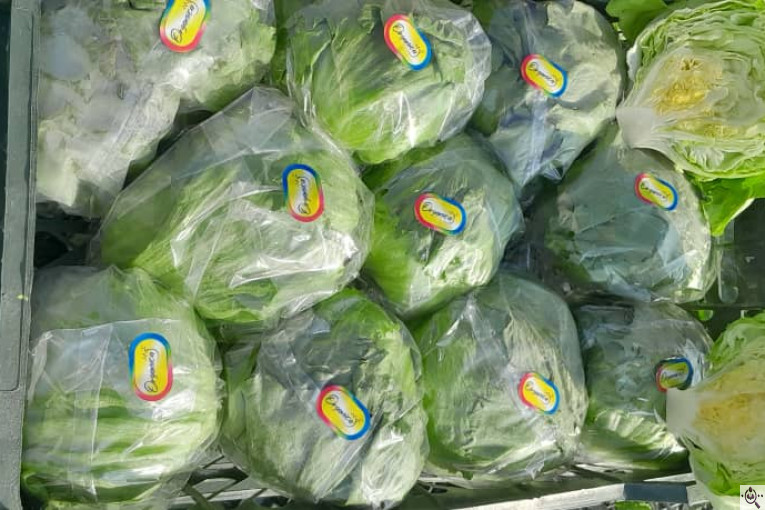 صادرات صیفی جات شیرکوهی و مددی در کرج