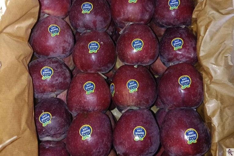 صادرات سیب اشنویه در آذربایجان غربی و ایران Apple exports from Oshnavieh in West Azerbaijan Iran