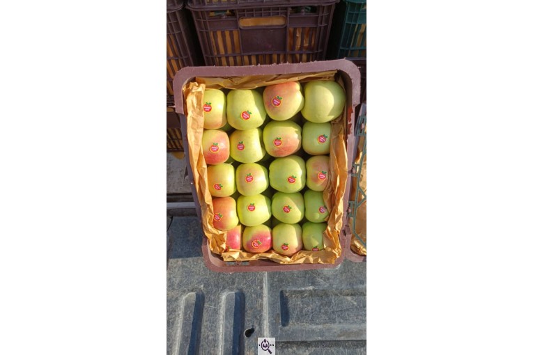 صادرات سیب اشنویه در آذربایجان غربی و ایران Apple exports from Oshnavieh in West Azerbaijan Iran