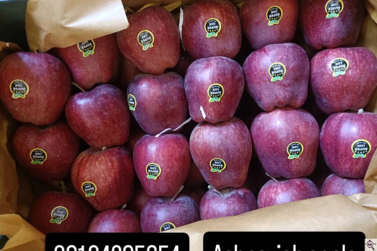 صادرات سیب اشنویه در آذربایجان غربی و ایران Apple exports from Oshnavieh in West Azerbaijan Iran