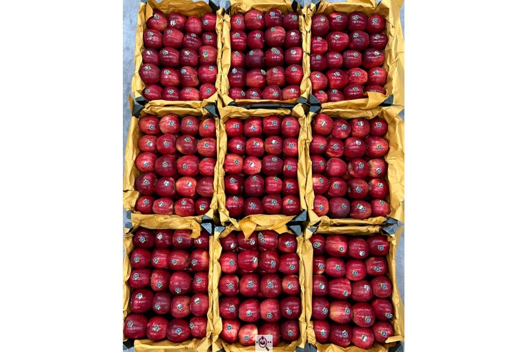 صادرات و سورتینگ و بسته بندی میوه جات خضری در آذربايجان غربی پیرانشهر