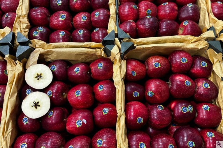 صادرات و سورتینگ و بسته بندی میوه جات خضری در آذربايجان غربی پیرانشهر