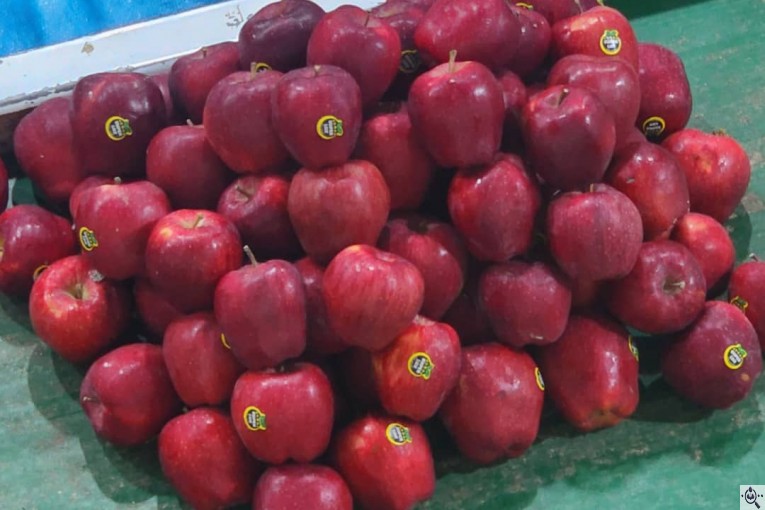 صادرات و سورتینگ و بسته بندی میوه جات خضری در آذربايجان غربی پیرانشهر