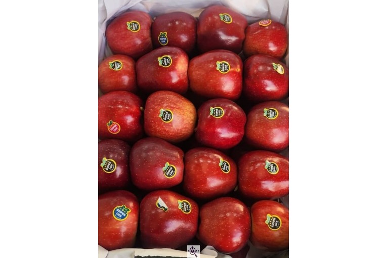 صادرات و سورتینگ و بسته بندی میوه جات خضری در آذربايجان غربی پیرانشهر