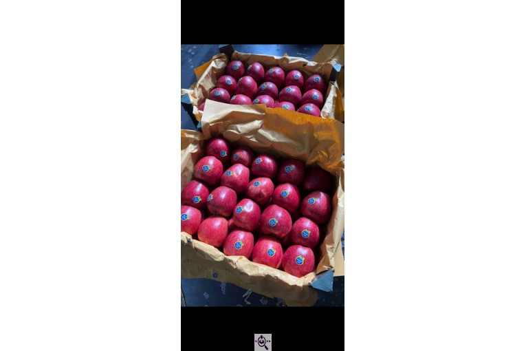 صادرات و سورتینگ و بسته بندی میوه جات خضری در آذربايجان غربی پیرانشهر