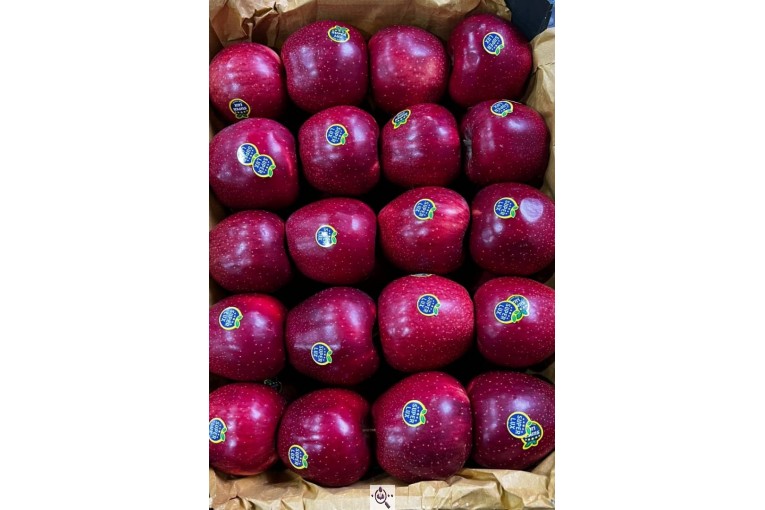 صادرات و سورتینگ و بسته بندی میوه جات خضری در آذربايجان غربی پیرانشهر