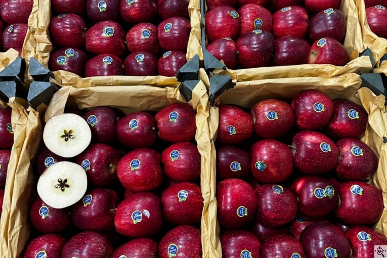صادرات و سورتینگ و بسته بندی میوه جات خضری در آذربايجان غربی پیرانشهر