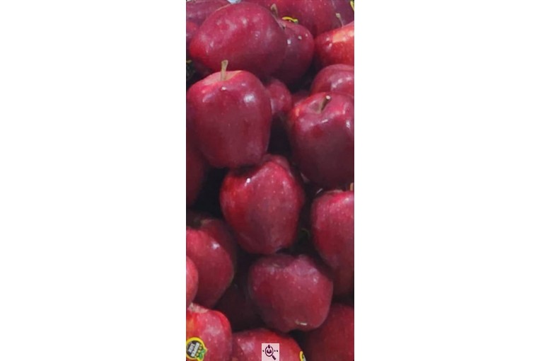 صادرات و سورتینگ و بسته بندی میوه جات خضری در آذربايجان غربی پیرانشهر