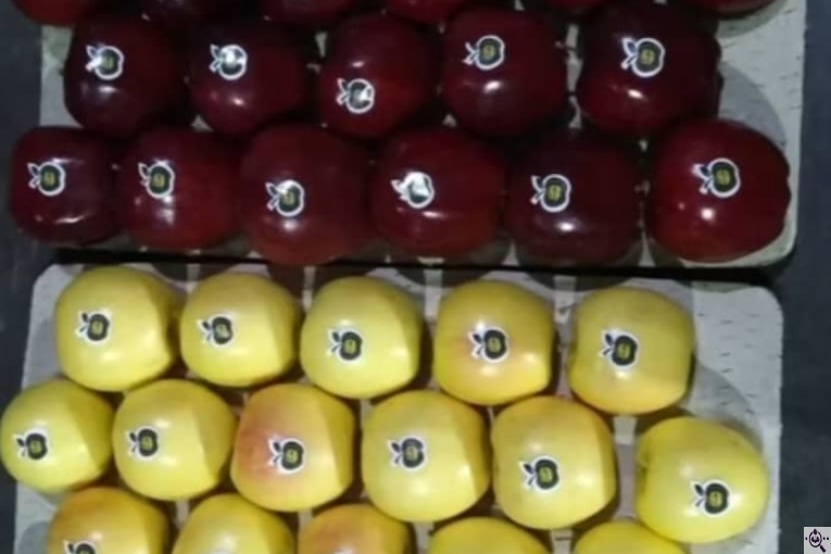 صادرات و سورتینگ و بسته بندی میوه جات خضری در آذربايجان غربی پیرانشهر