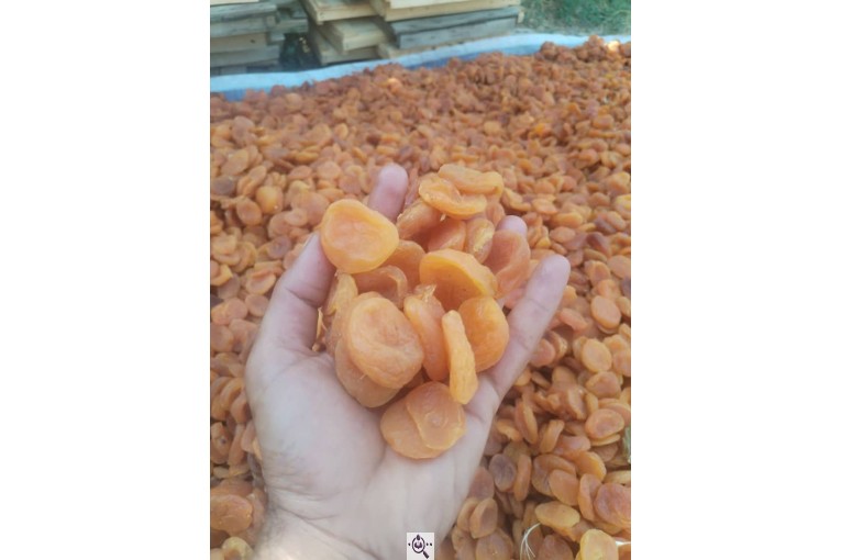 خشکبار مقصود مهدیخانی در مرند