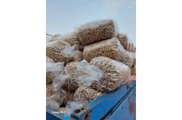 کارگاه تولید و پخش بادام زمینی بابک بکتاش در پارس آباد مغان