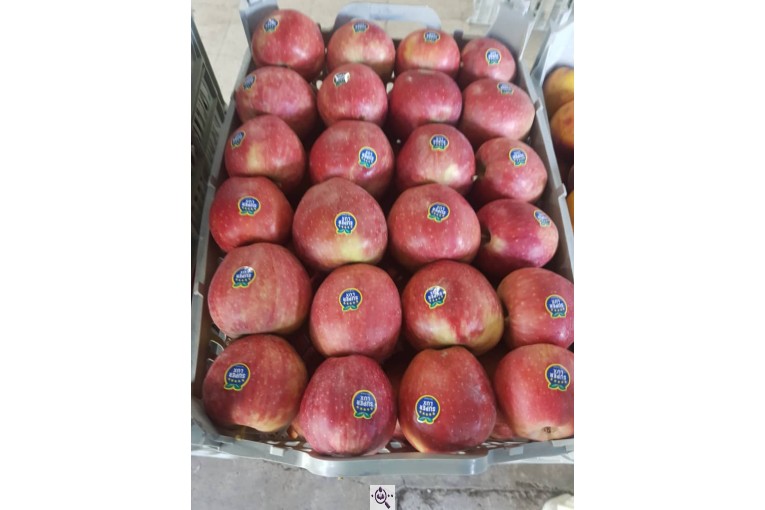 صادرات میوه و تره بار کعبی در تهران