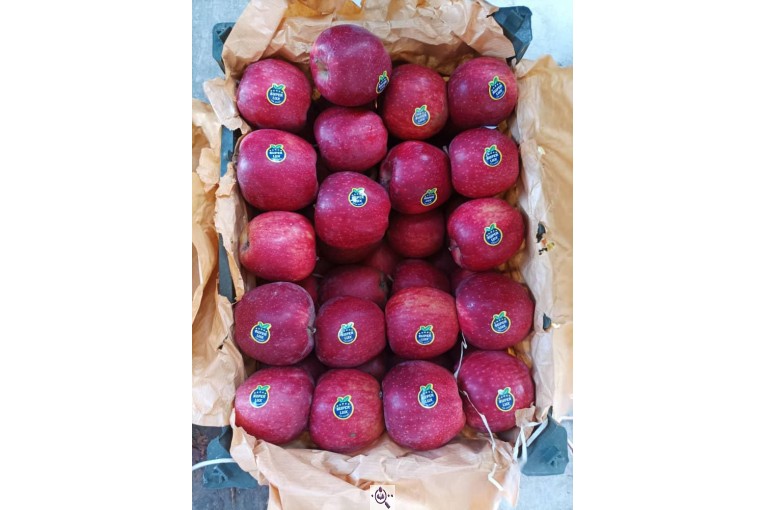 صادرات میوه و تره بار کعبی در تهران