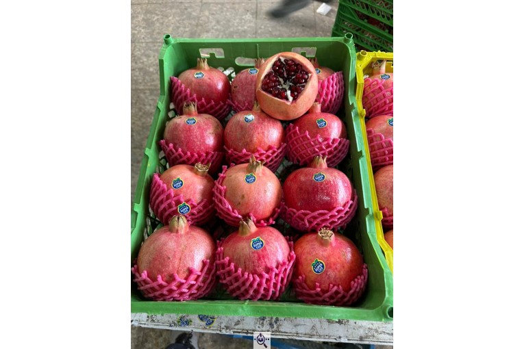 صادرات میوه و تره بار کعبی در تهران