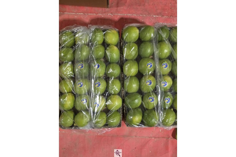 صادرات میوه و تره بار کعبی در تهران