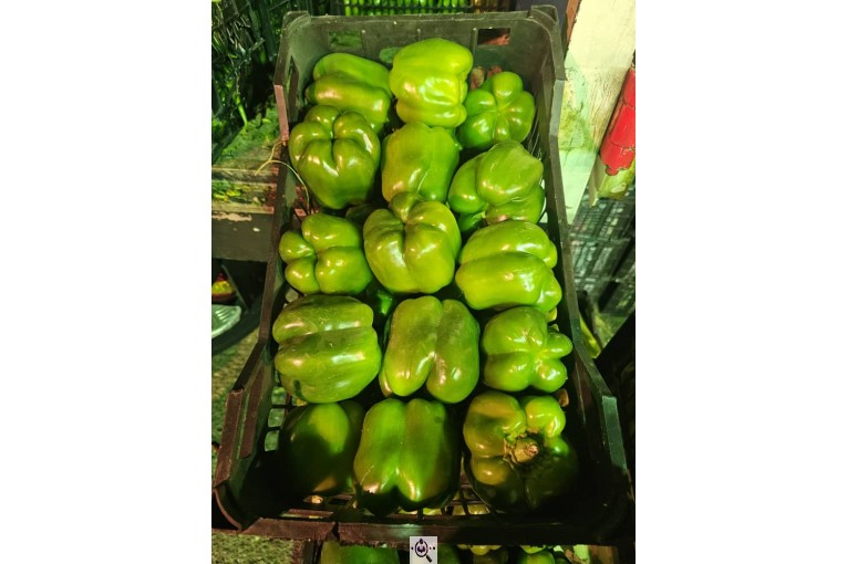 صادرات میوه و تره بار کعبی در تهران