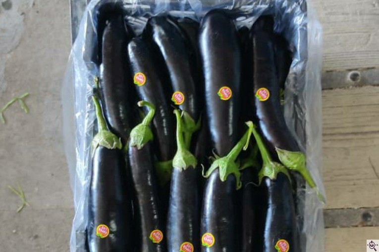 صادرات میوه و تره بار کعبی در تهران