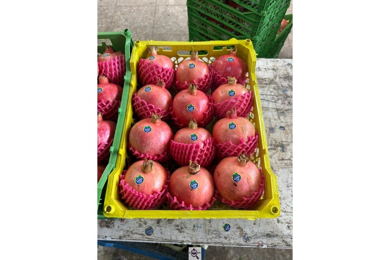 صادرات میوه و تره بار کعبی در تهران