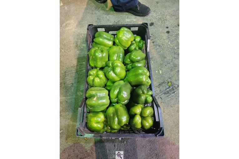 صادرات میوه و تره بار کعبی در تهران