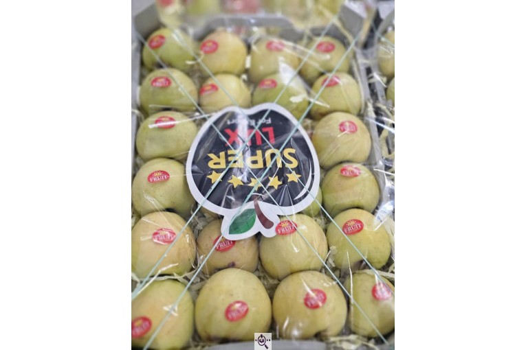 صادرات میوه و تره بار کعبی در تهران