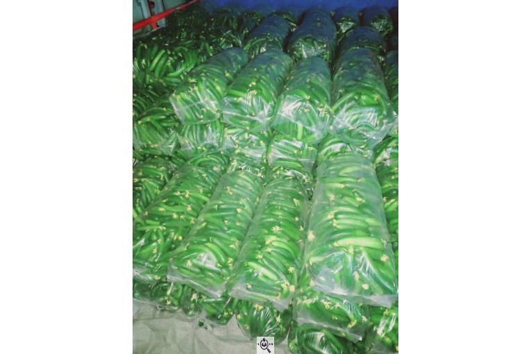 صادرات میوه و تره بار کعبی در تهران