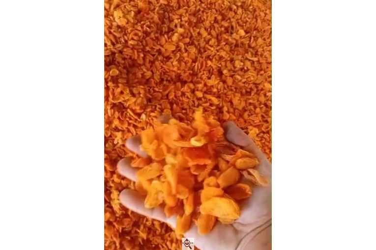 آجیل و خشکبار دریا در بندرعباس