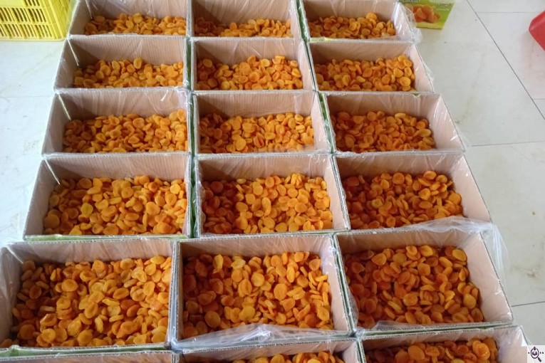 آجیل و خشکبار دریا در بندرعباس