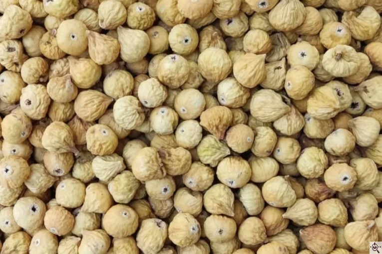 آجیل و خشکبار دریا در بندرعباس