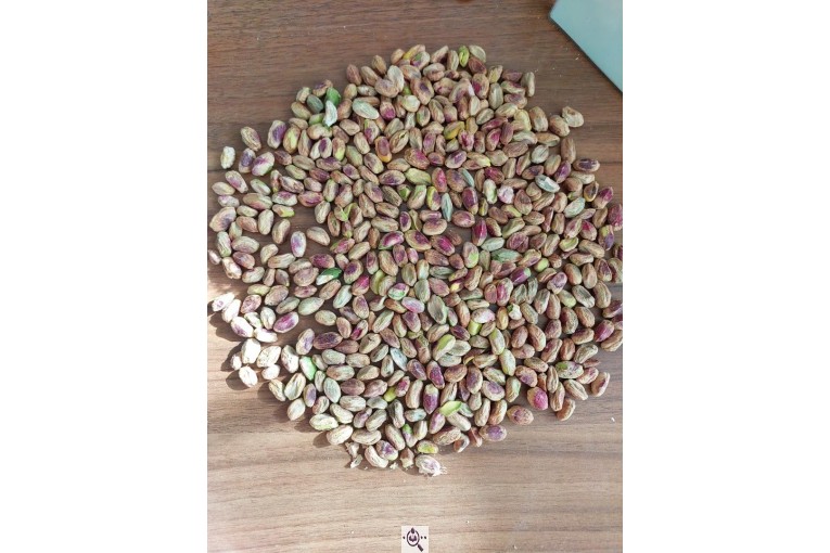 خرید و فروش مغز پسته و پسته در رفسنجان