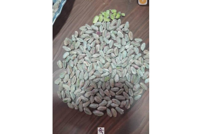 خرید و فروش مغز پسته و پسته در رفسنجان