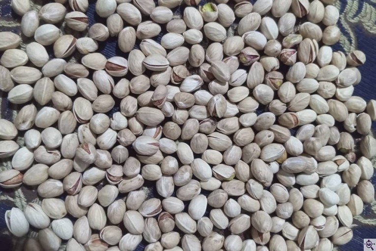 خرید و فروش مغز پسته و پسته در رفسنجان