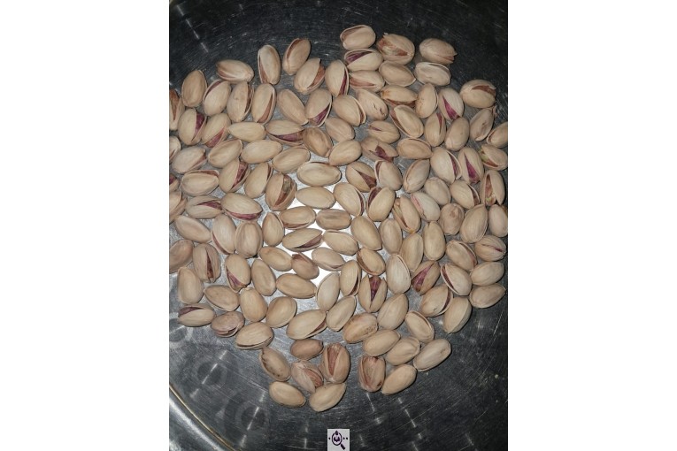 خرید و فروش مغز پسته و پسته در رفسنجان