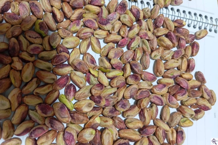 خرید و فروش مغز پسته و پسته در رفسنجان