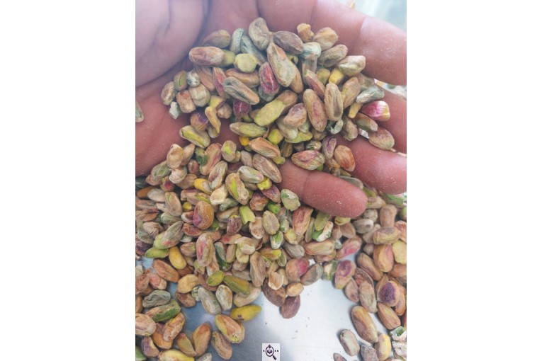 خرید و فروش مغز پسته و پسته در رفسنجان