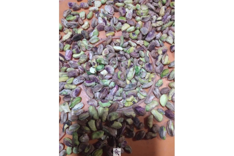 خرید و فروش مغز پسته و پسته در رفسنجان