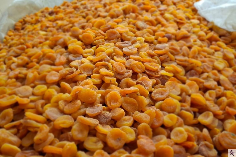 محصولات خشکبار سجادی در تبریز