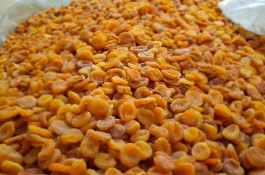 محصولات خشکبار سجادی در تبریز