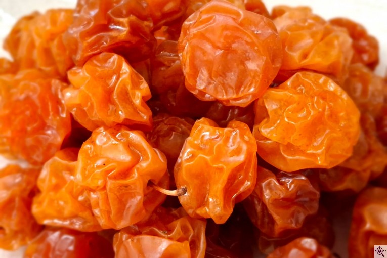 محصولات خشکبار سجادی در تبریز